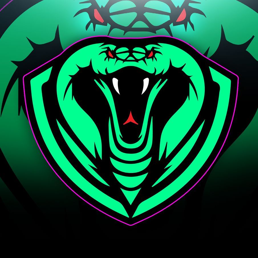 _flye_