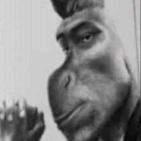 Lakautt avatar
