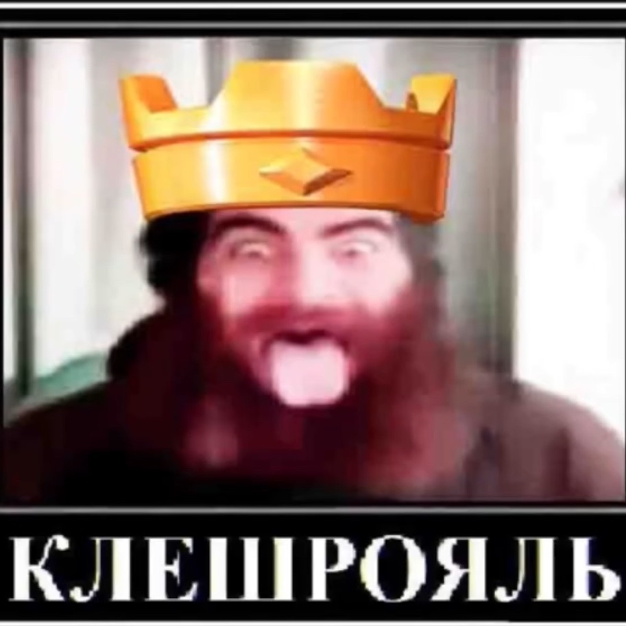 dw1z19
