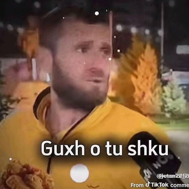 BLERIANI2