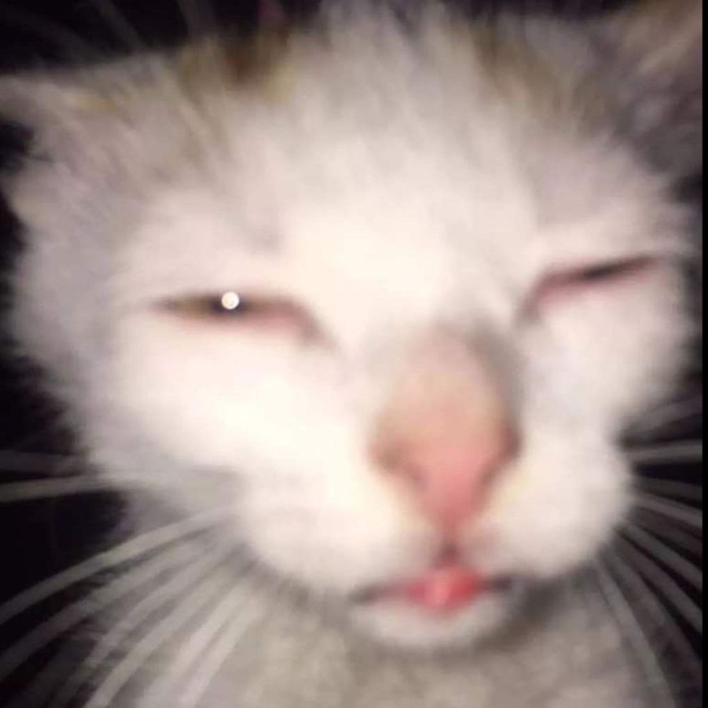 AberesK