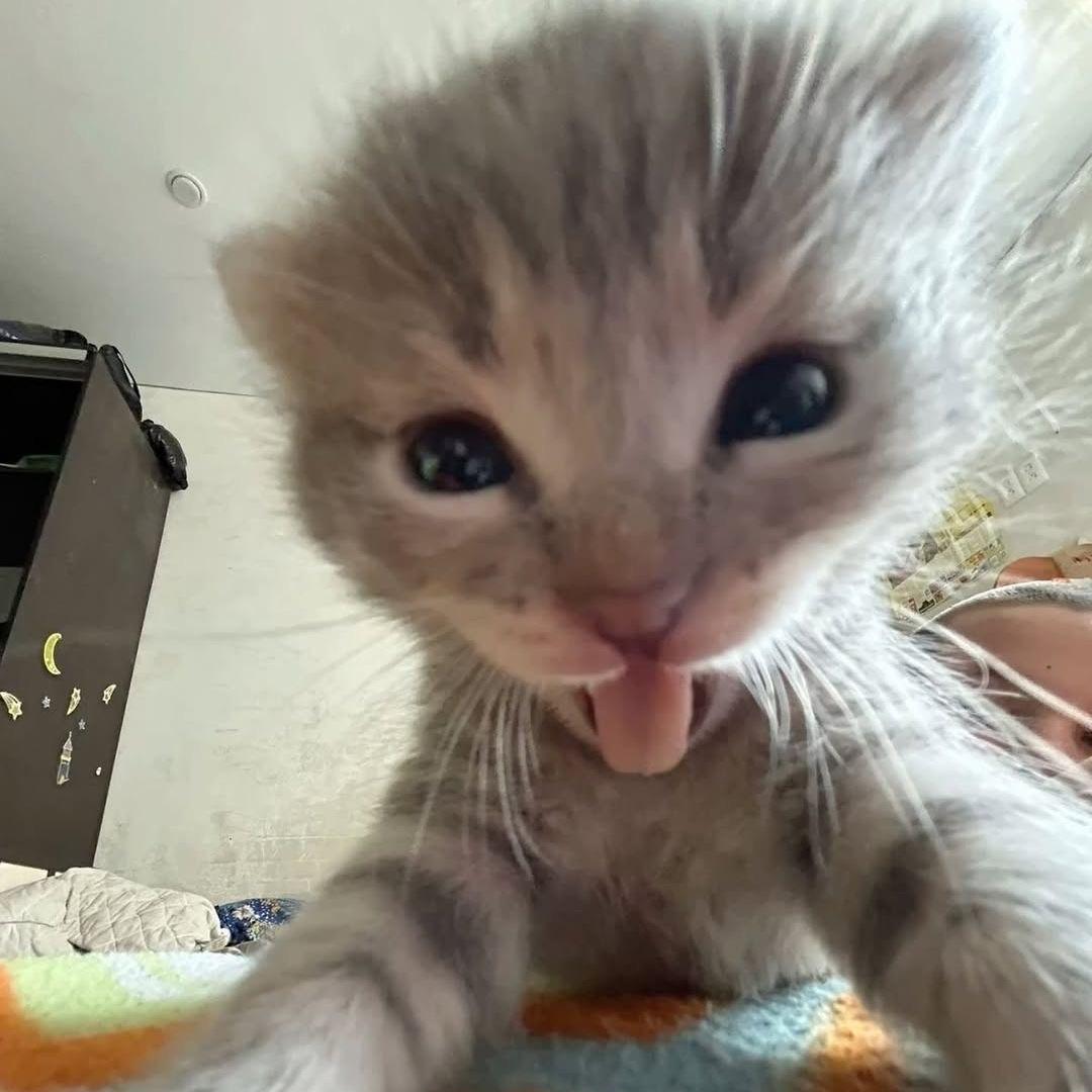 Tem4k avatar