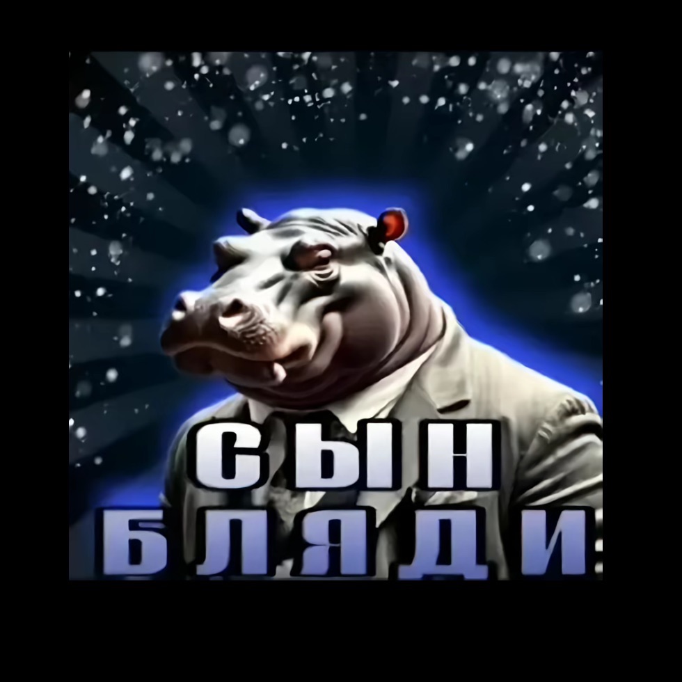spr1ingizzz avatar