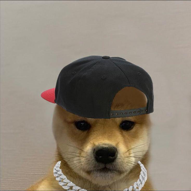 p2hok