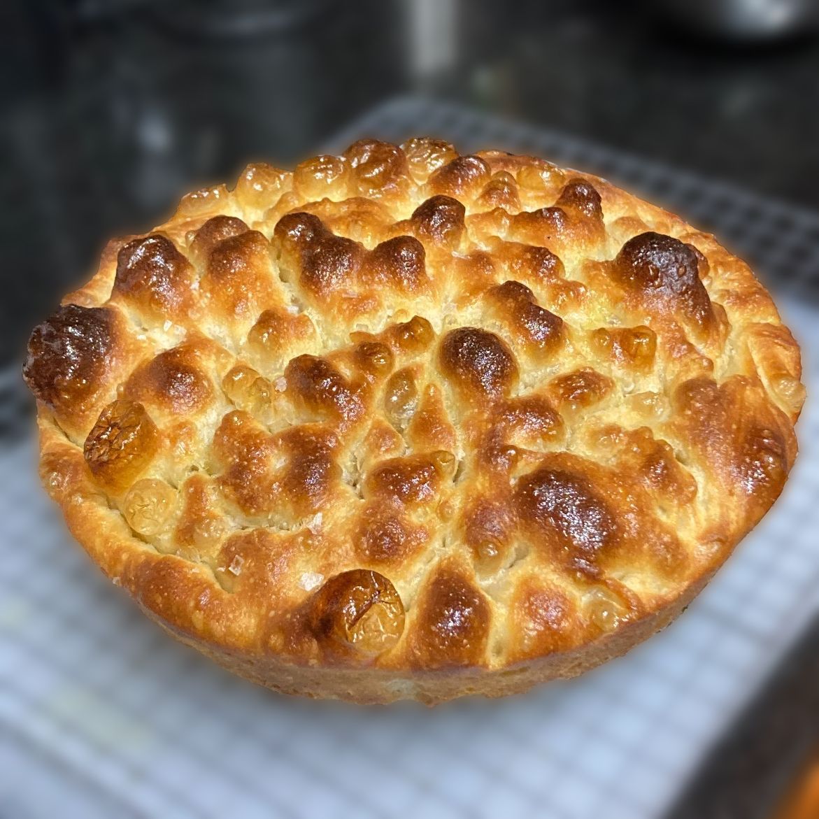 team_focaccia