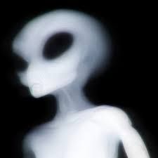 Kiemus