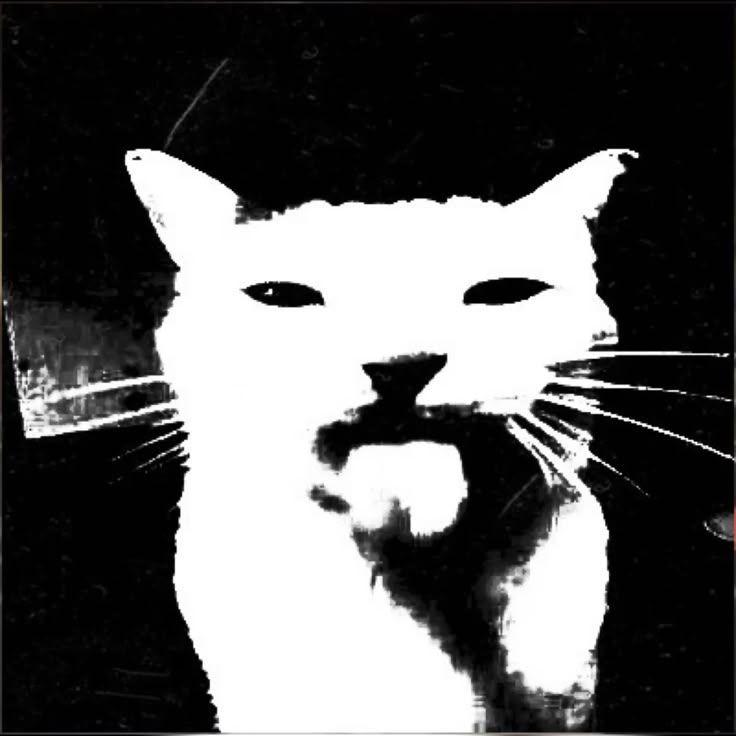 komarrr11 avatar