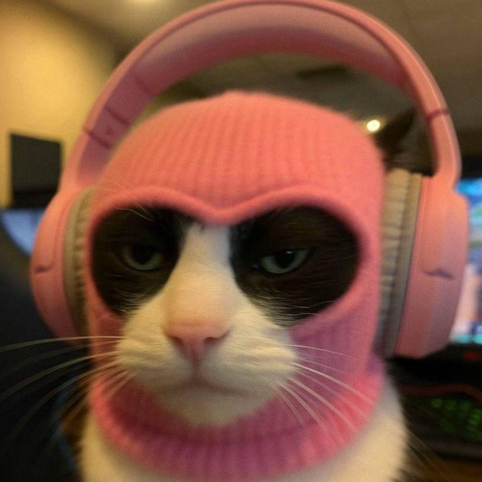 CheBaGaaa avatar