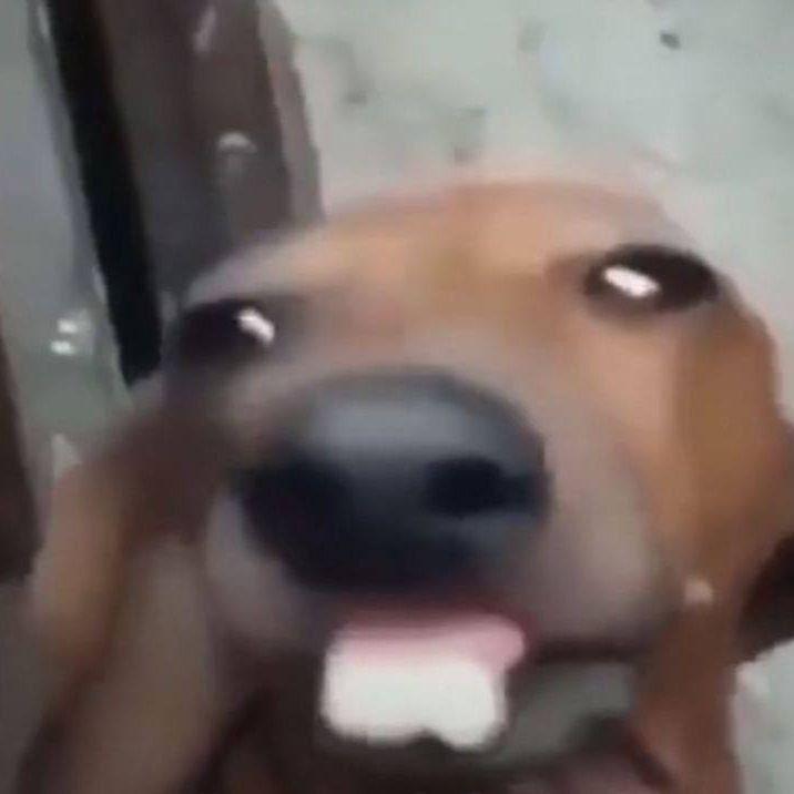 nikson23