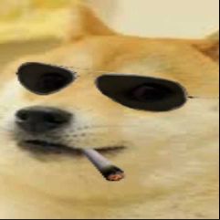 _Sharky_1