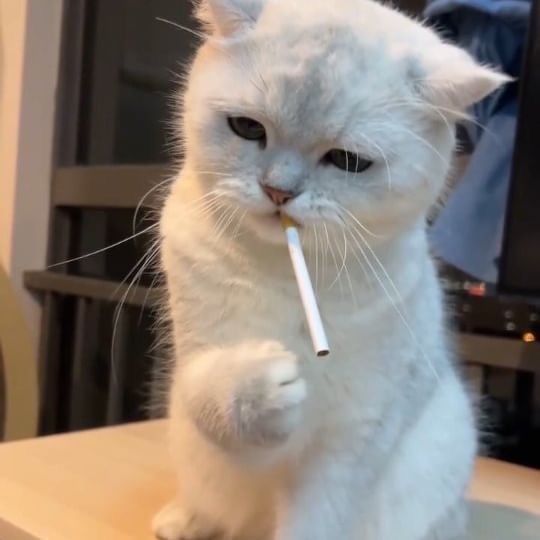 GM2LMIKRUZ