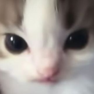 KYXOBAPKA