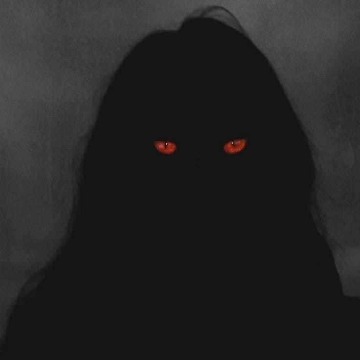 xdxdaxda avatar