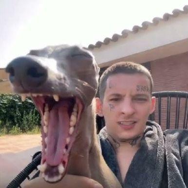 lFazerl avatar
