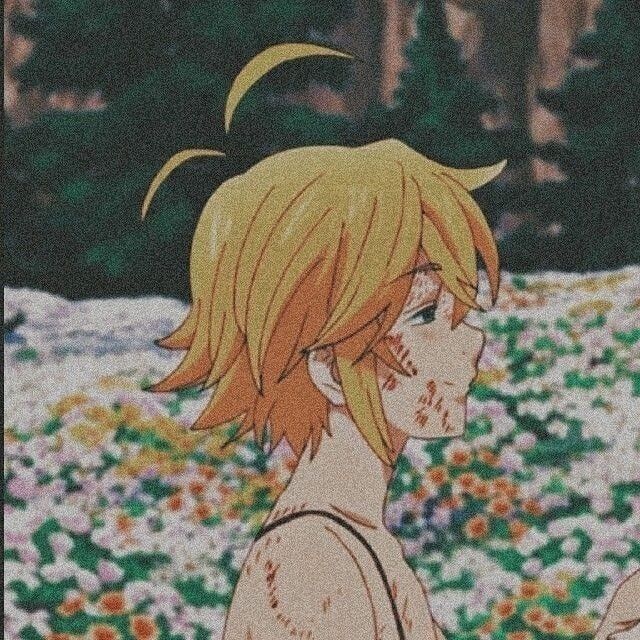 dedegeu1