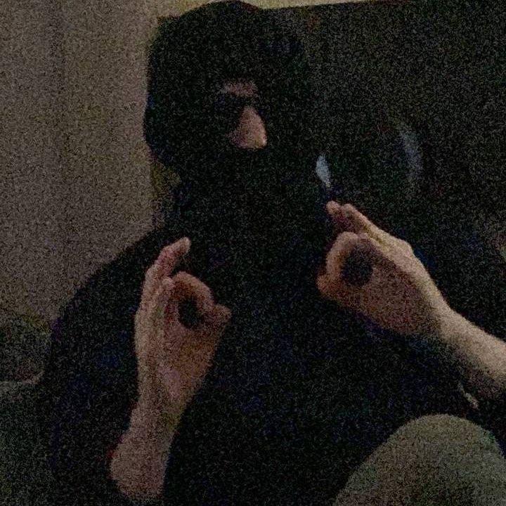 Flerentr avatar