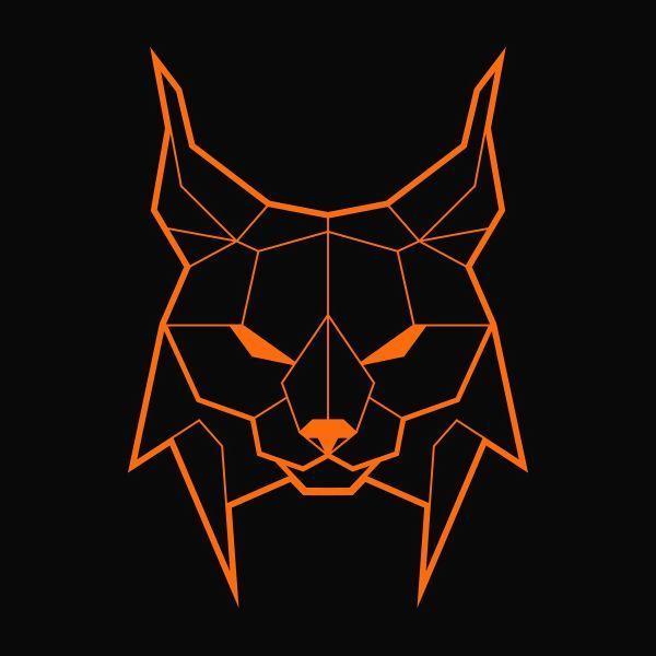 Player LyNx3s avatar