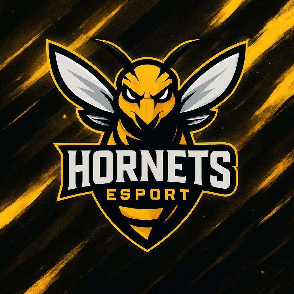 Hornets Esport