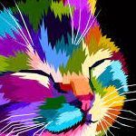 team_enzebra