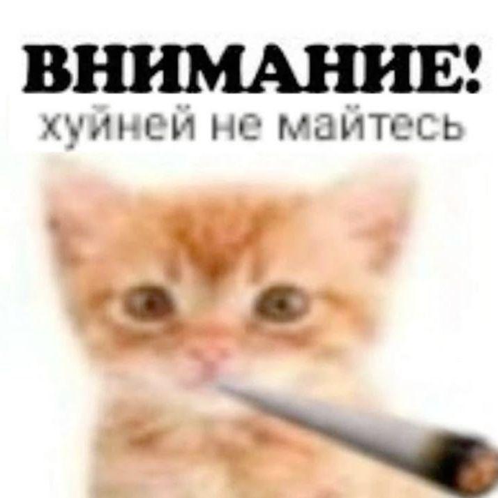zozerrrrr avatar