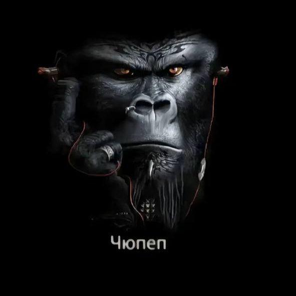 skffs avatar