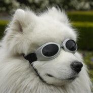 _JP_-
