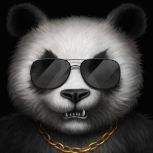 b0lek avatar