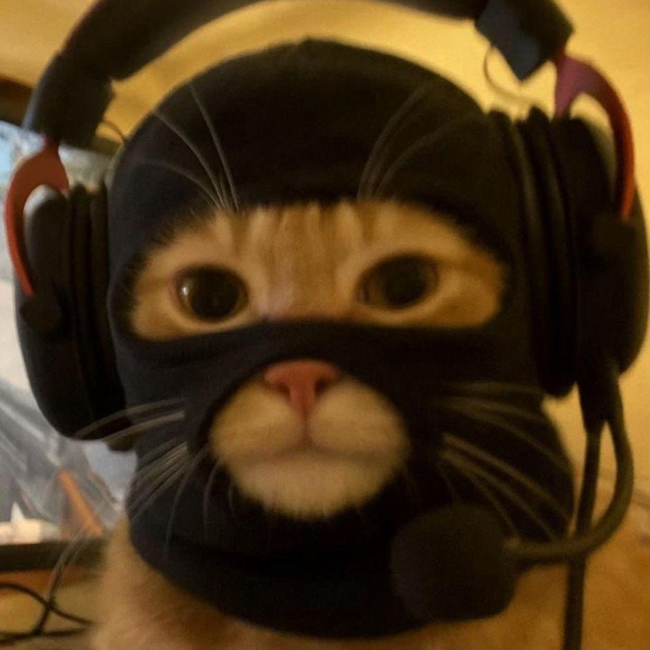 lolik_ avatar