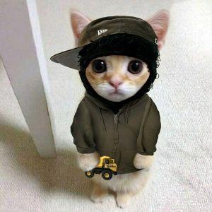 0umegalul avatar