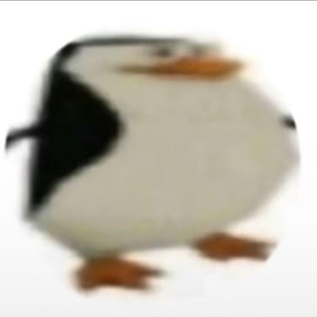 freemanczl avatar