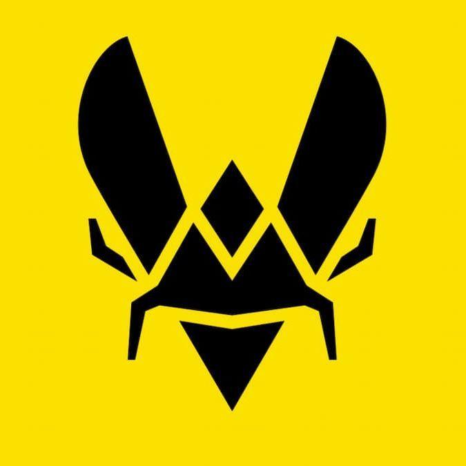 -voka avatar