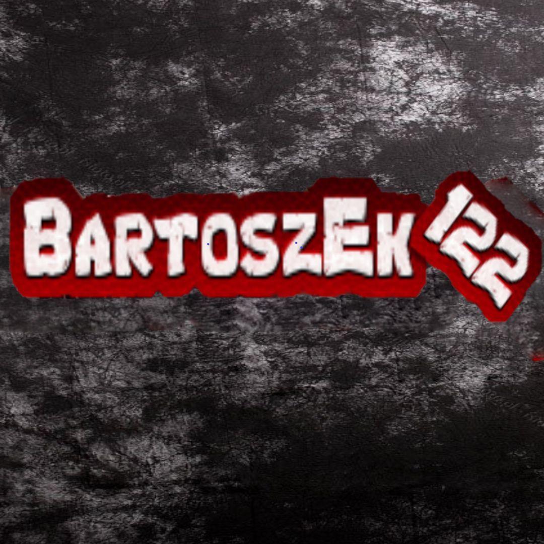 BartoszEk129 avatar
