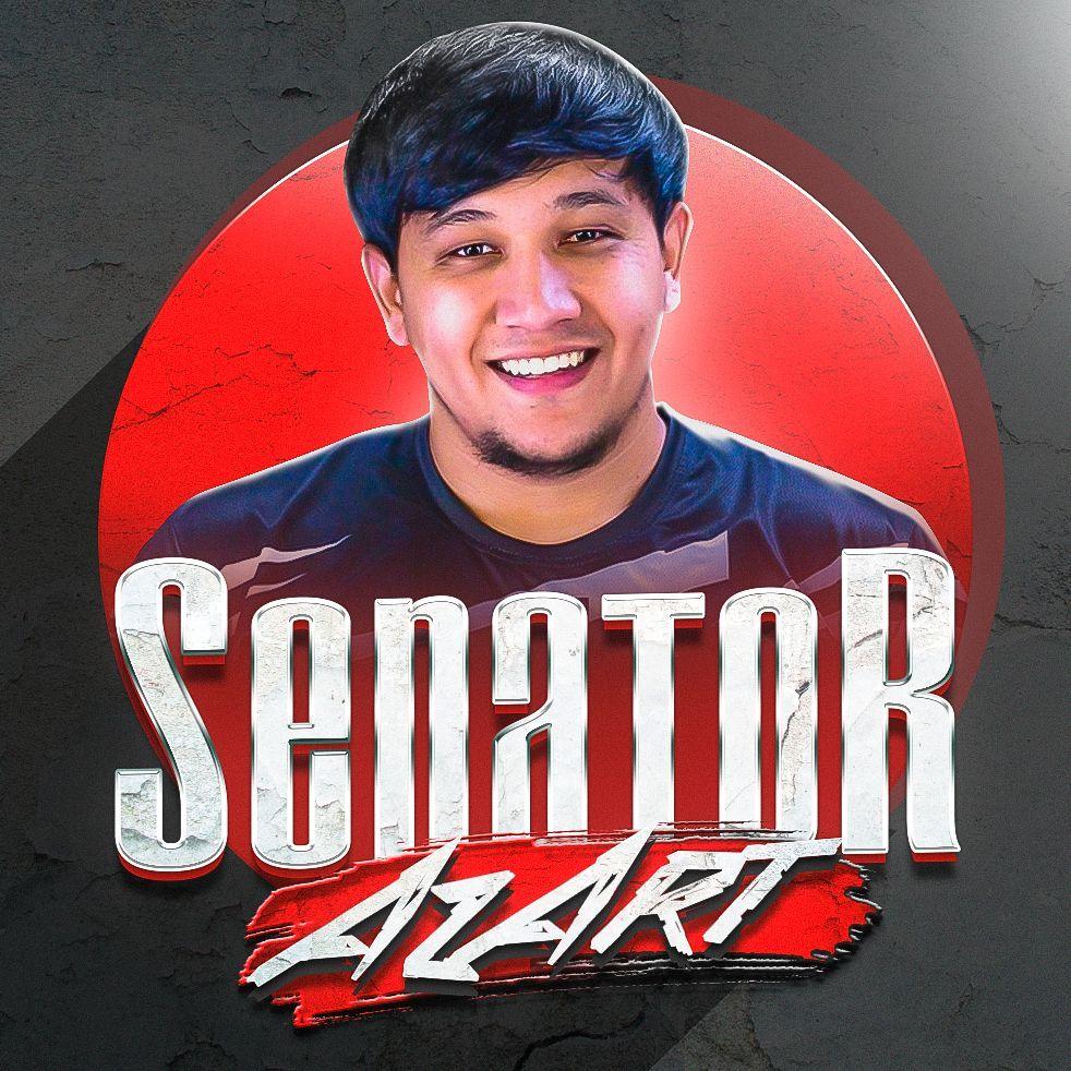 deSENATOR avatar
