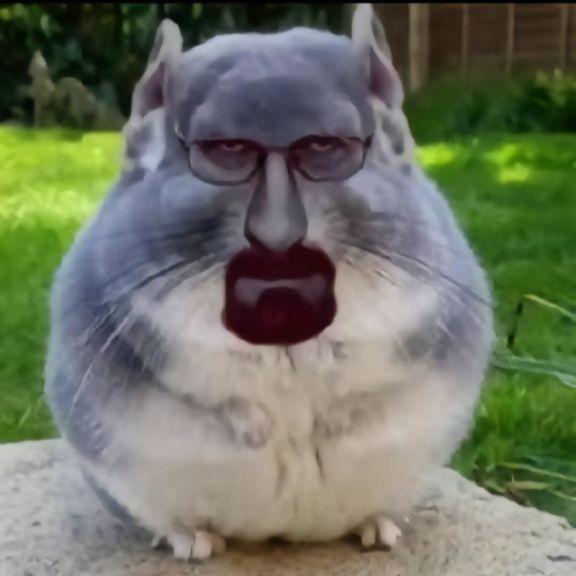 Visllo avatar