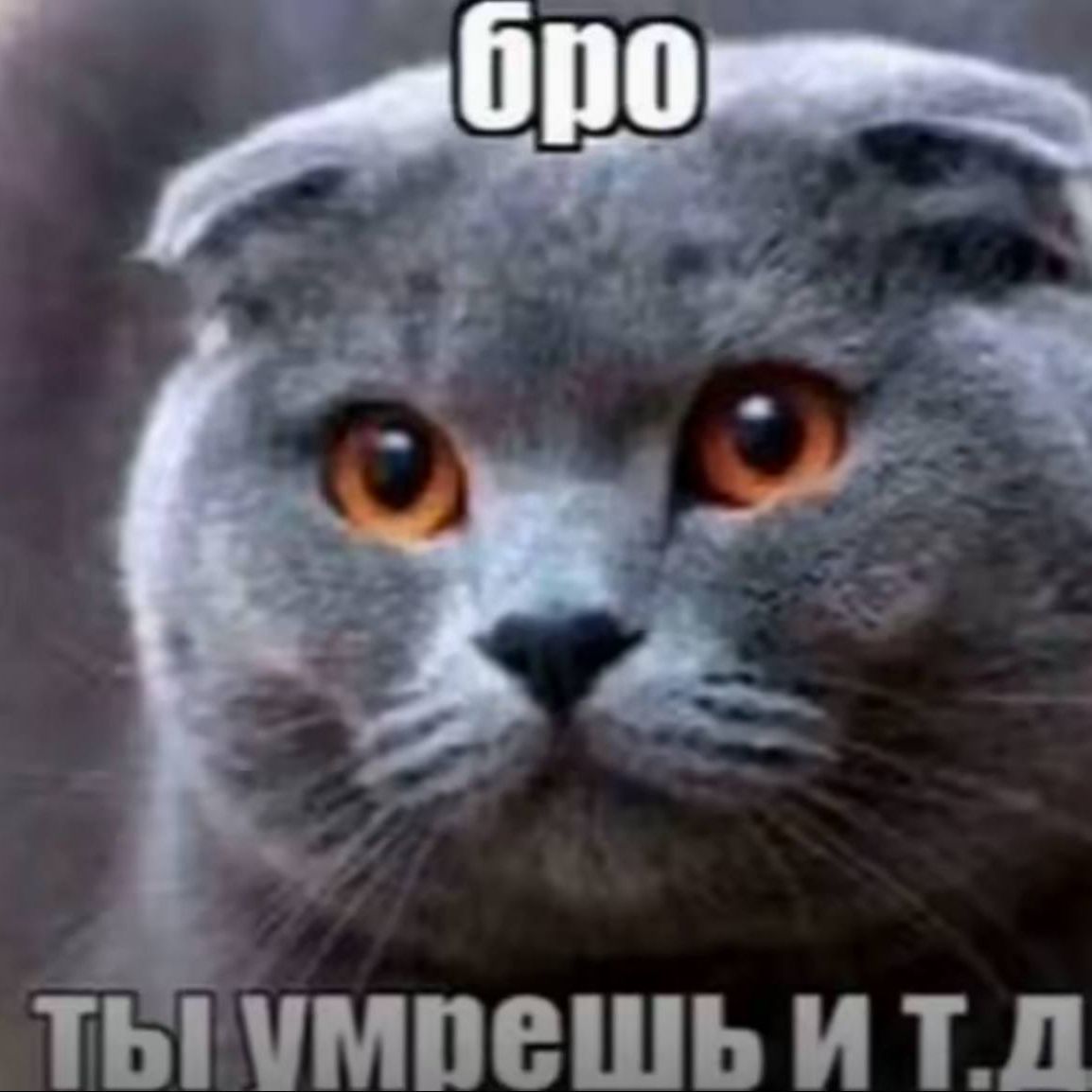 groqw
