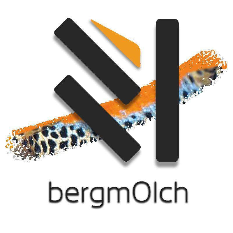 bergm0lch avatar