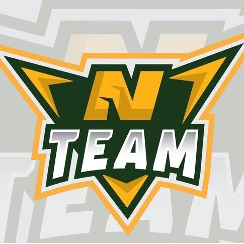 NEL-TEAM