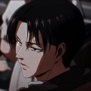 Li0n95 avatar