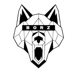 Player BORZ_AST avatar