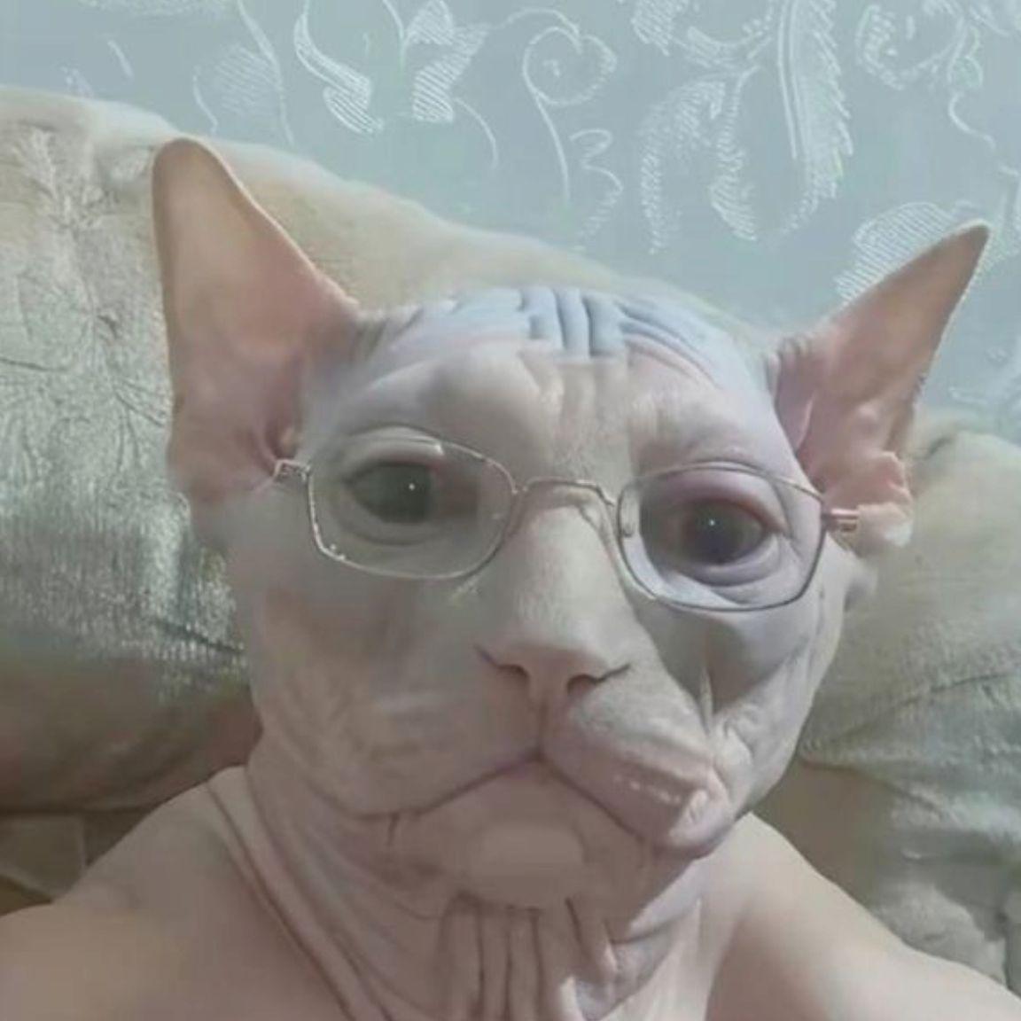 nahMercy_ avatar
