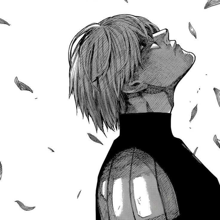vanish224