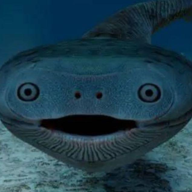 PUFFERFISH