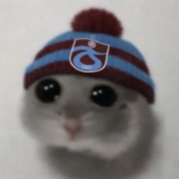 kurdele FACEIT avatar