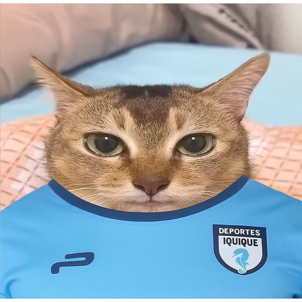 satitaa