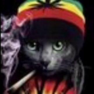 PMA_pl_only