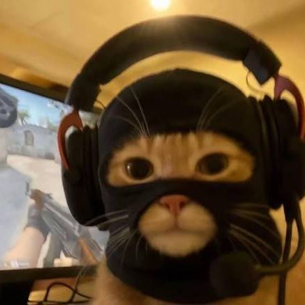 Faceit Avatar
