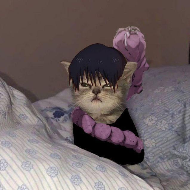 olivessshka