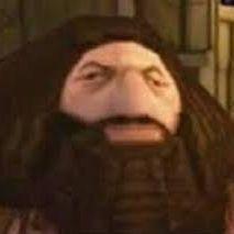 kauchs avatar