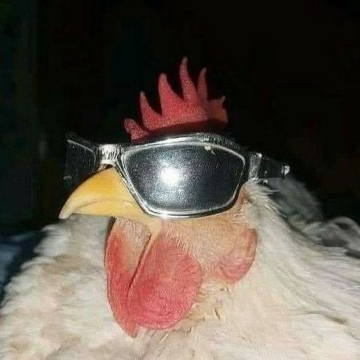 mitroxxxxx