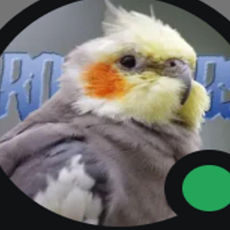 robsikowy avatar